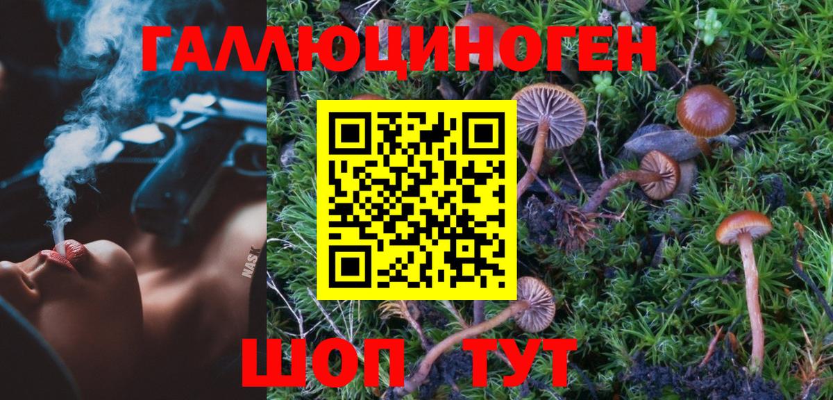продажа наркотиков  Вход с VPN  Галлюциногенные грибы GOLDEN TEACHER  Бугульма  Псилоцибиновые грибы мицелий 